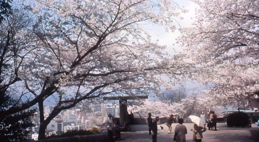Ark Hiroshimaeki Minami